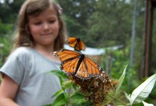 Photo of girl and butterfly