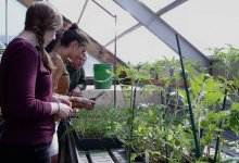 Students are working on their plants and being supervised by their teacher in the glasshouse.