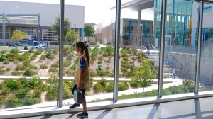 Student stands at a window at Design39.