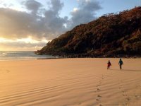 Two young kids are walking on the sand along the beach, the ocean to their left, and a hill covered in trees in front of them. 