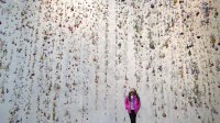 photo of a student in gallery filled with hanging flowers