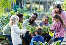 Teachers and students working in a school garden